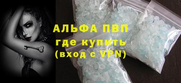 индика Алексин