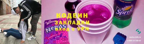 индика Алексин