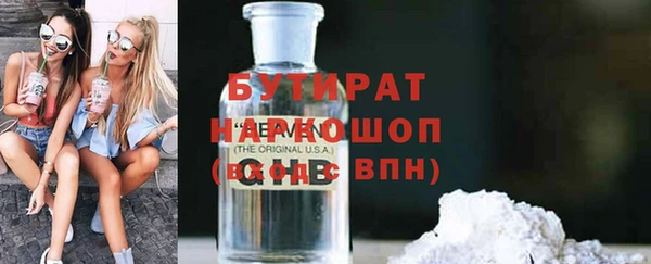 индика Алексин