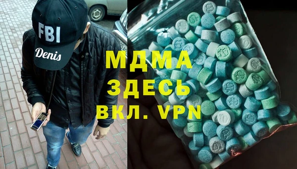 индика Алексин