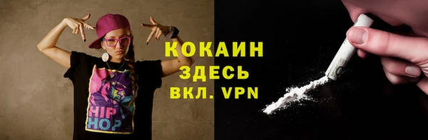 индика Алексин