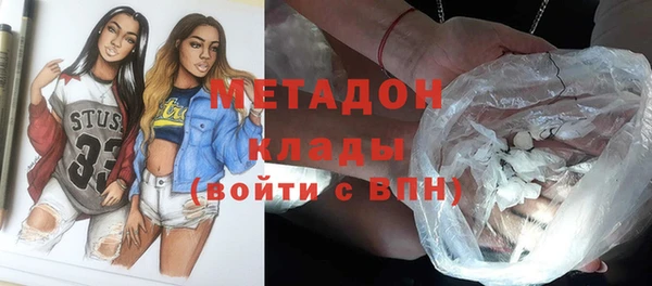 индика Алексин