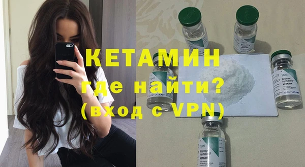 индика Алексин