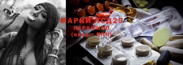 дживик Алзамай
